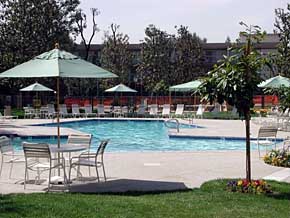 Woodland Hills Real Estate Swimming Pool